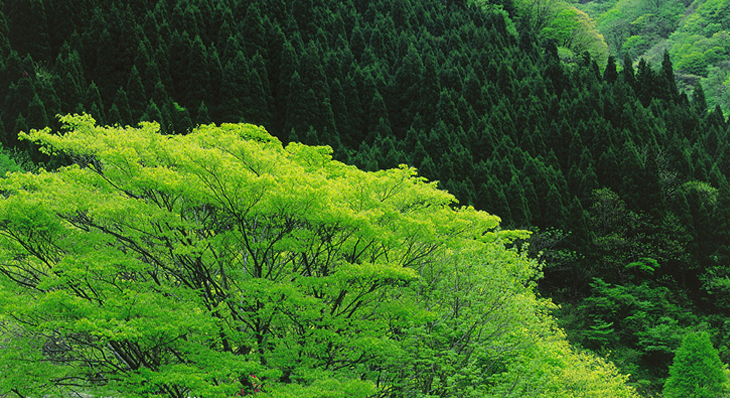 green